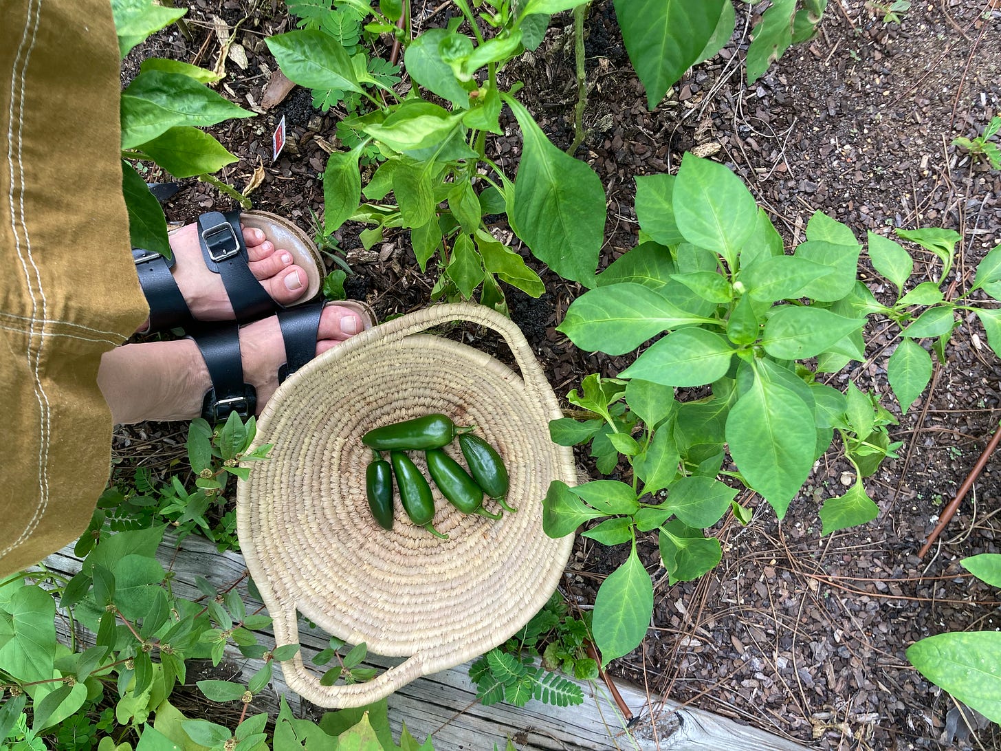 Feet in a garden