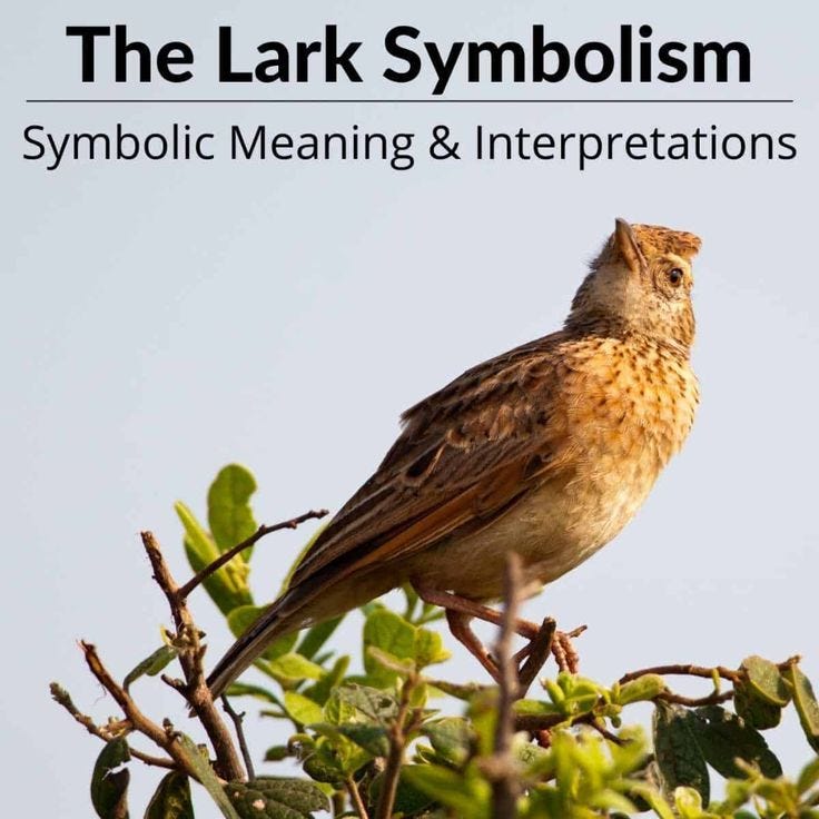 Lark Bird Symbolism: Meaning & Spiritual Significance Explained