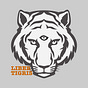 Sane Coin's avatar