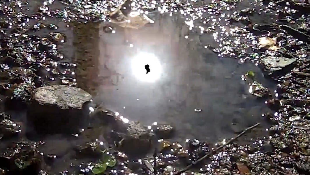 the reflection of the same black sun in a puddle on the ground