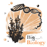 Big Biology