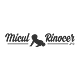 MiculRinocer’s Newsletter