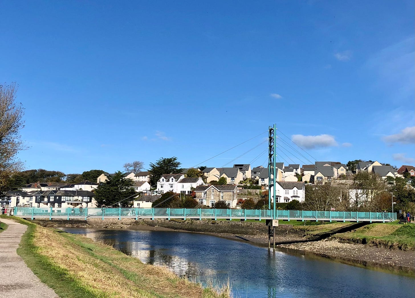 A green suspension bridge with a single tower to the right-hand side spans a river with grassy banks on either side. The sky is blue and there are houses in the background.