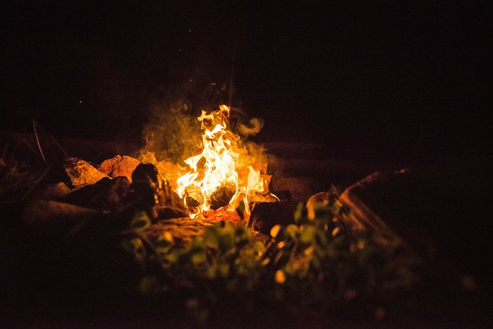 campfire. Original public domain image | Free Photo - rawpixel
