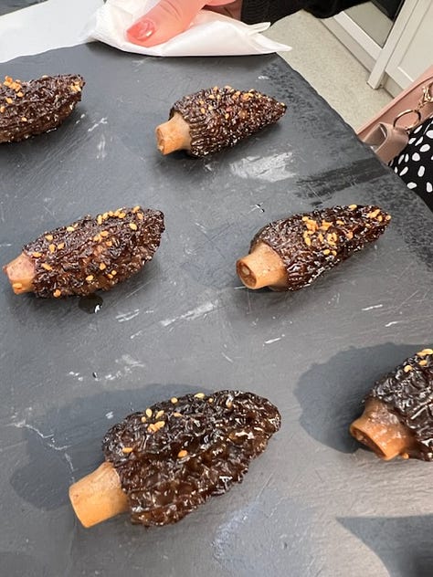Morel by Jeremy chan from ikoyi
