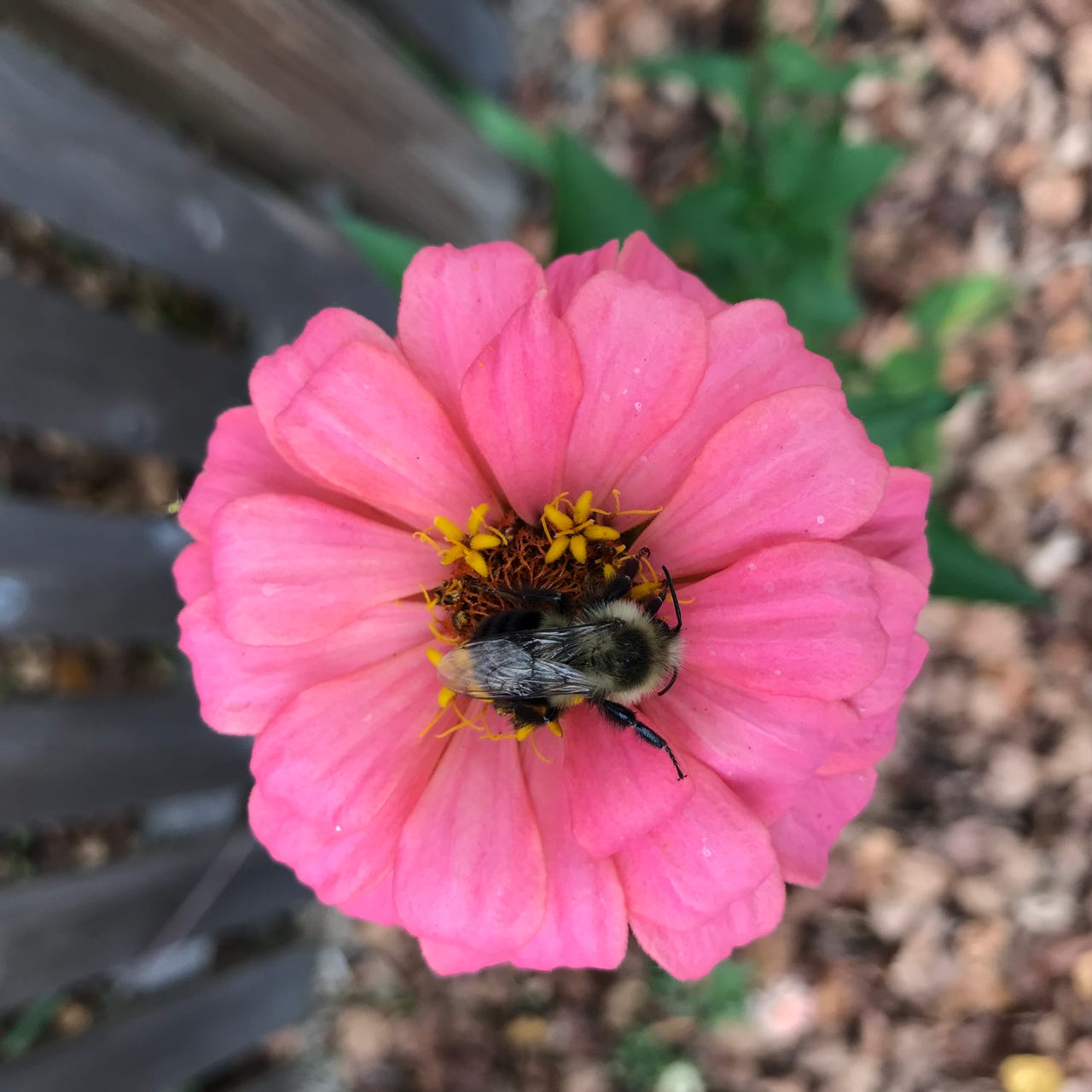 write • nourish • grow