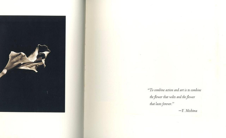 Some scans of our first book