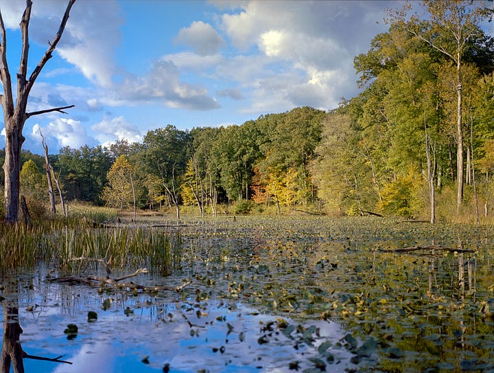 Images taken using Portra 400 film