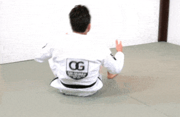 Backwards Shoulder Roll - Grapplearts