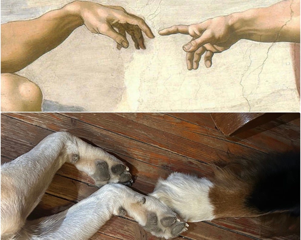 A dog and a painting of hands

Description automatically generated