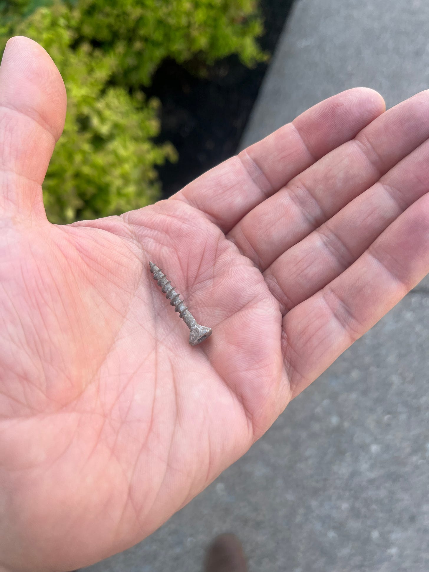 An old rusty screw sitting in the palm of my hand