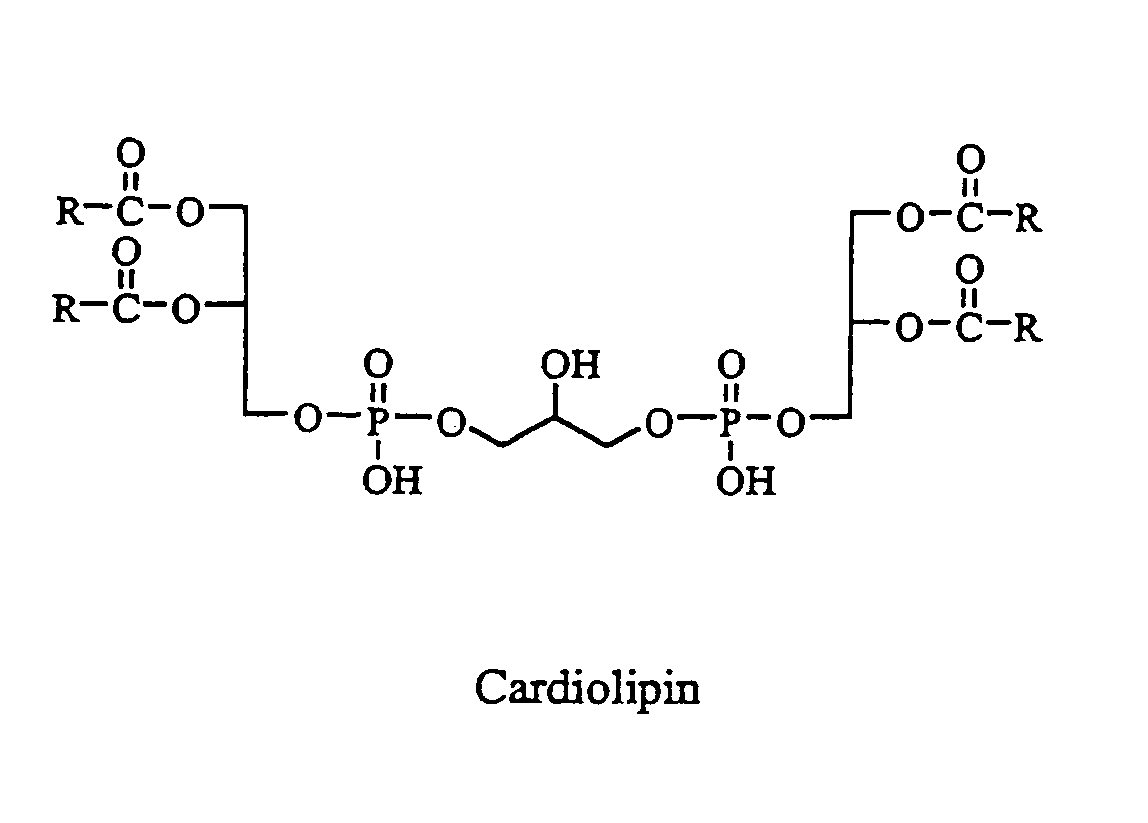 Cardiolipin compositions their methods of preparation and use - Eureka |  Patsnap