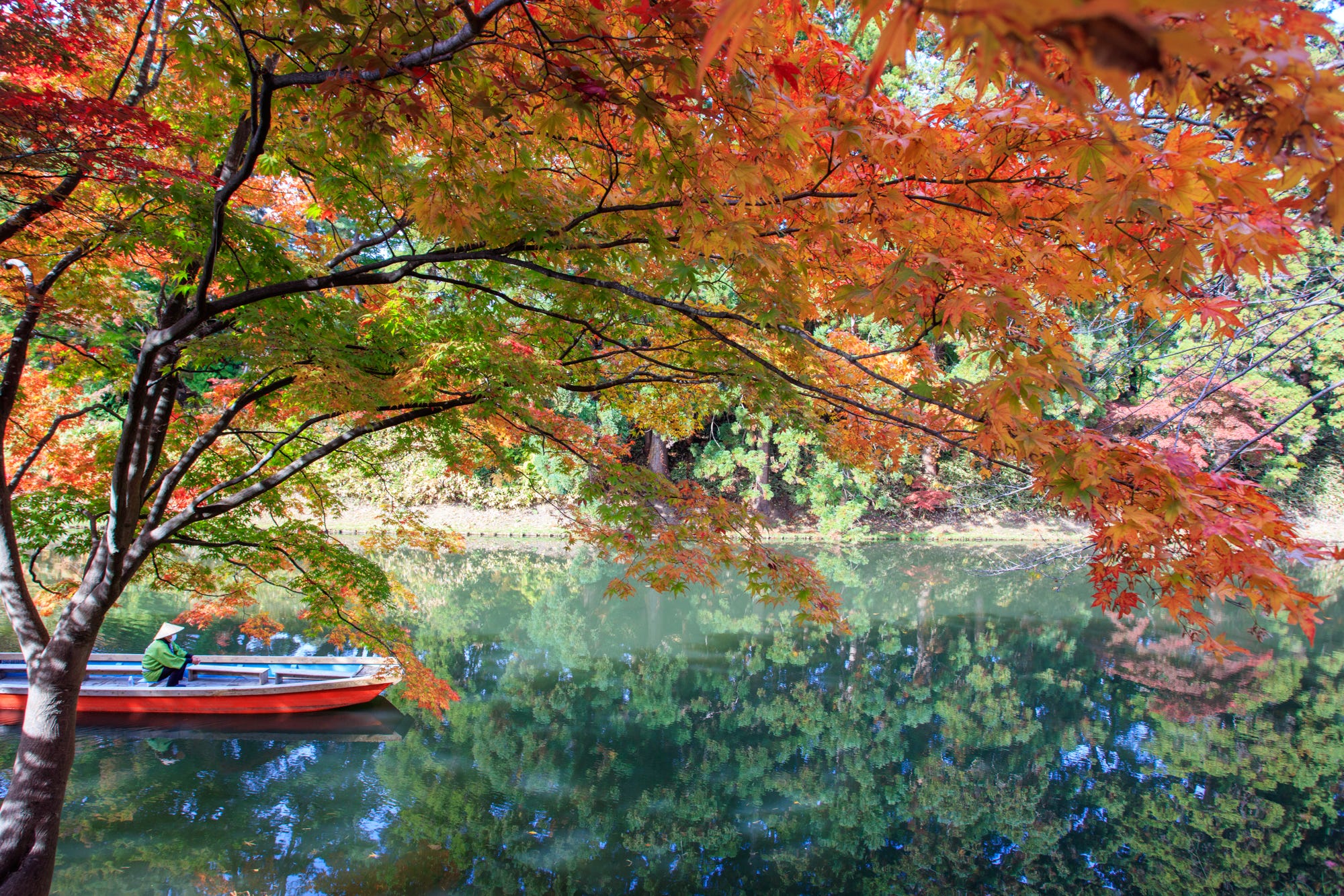 Fall in Japan - by Burcu Basar - Letters from Japan