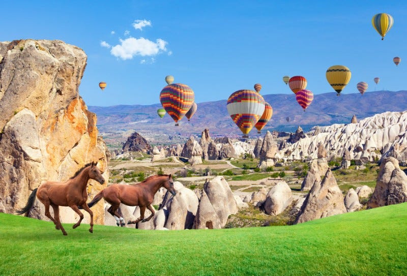 mushroom tourism vacations