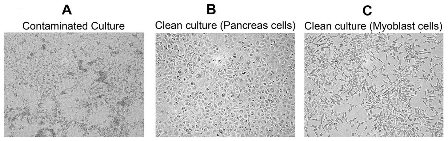 Challenges | Free Full-Text | An Extensive Method for ...