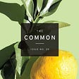 The Common's avatar