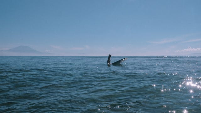 surfing