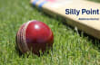 Silly Point