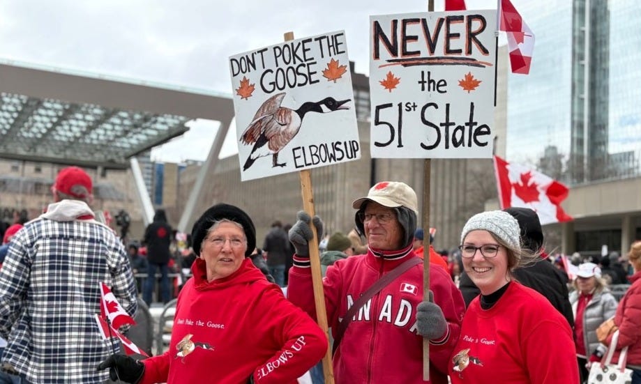 Hundreds attend 'Elbows Up, Canada' rally in Toronto - TorontoToday.ca