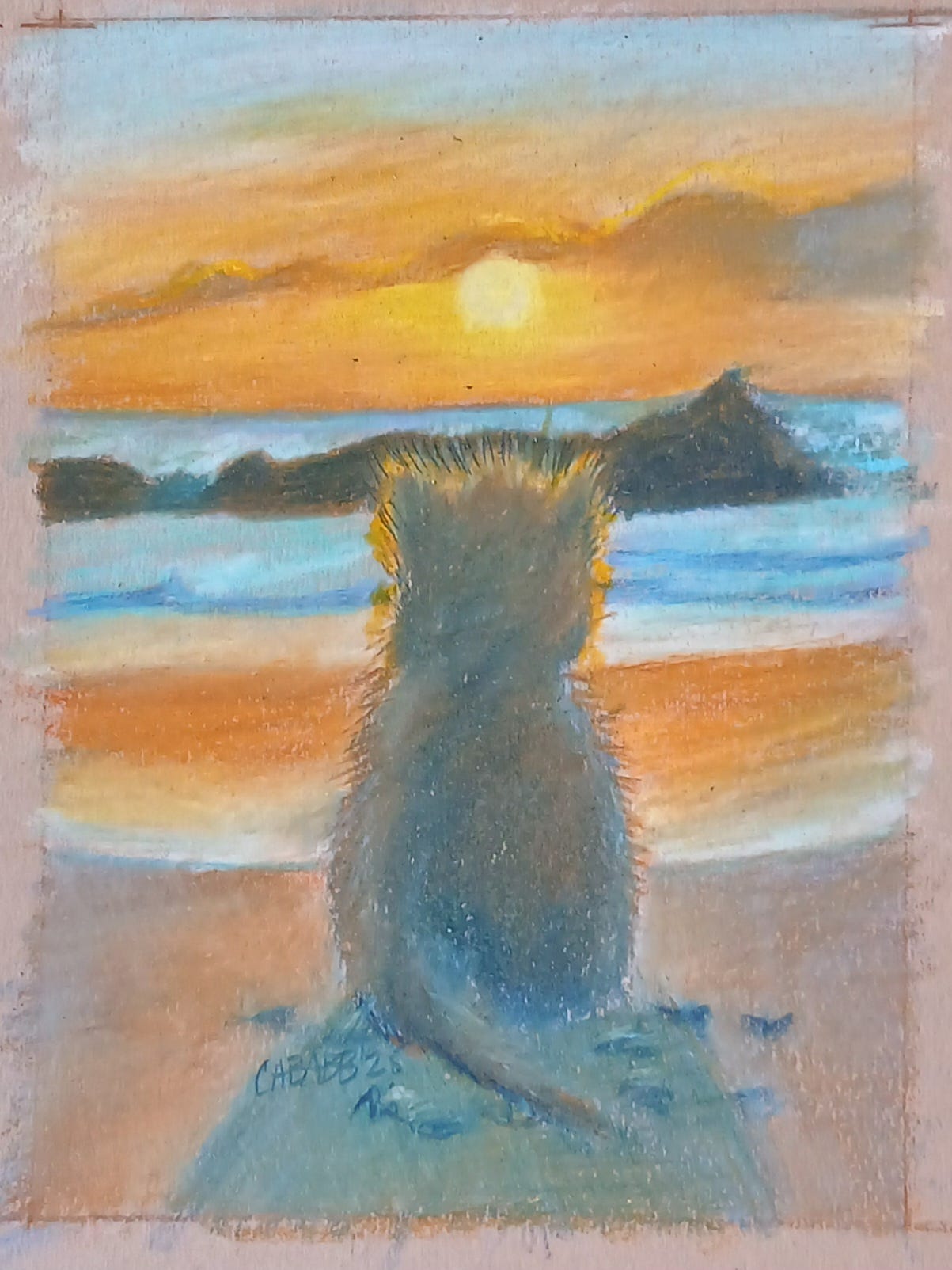a kitten stares at a beach sunset