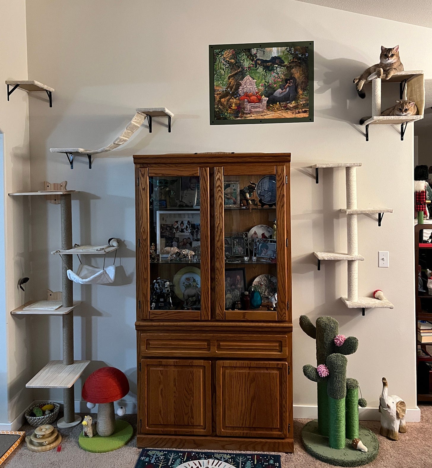 Kevin and Luisa are on two high ledges of their custom cat wall. The photo shows 13 platforms, 2 long poles, and a suspension bridge, a cactus scratcher, a mushroom scratcher, and some cat toys. Kevin and Luisa are on two high ledges of their custom cat wall. The photo shows 13 platforms, 2 long poles, and a suspension bridge, a cactus scratcher, a mushroom scratcher, and some cat toys.