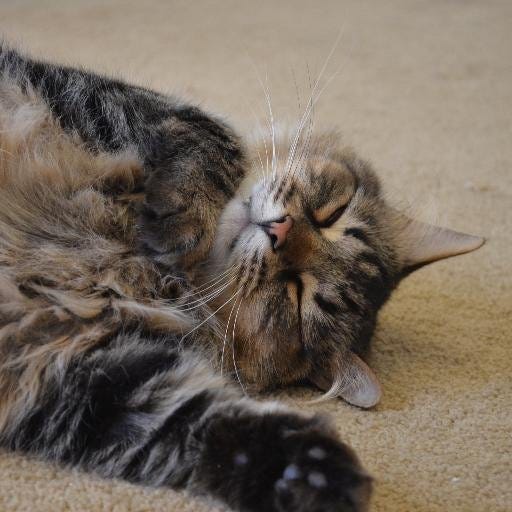 Stephen Clermont's Substack