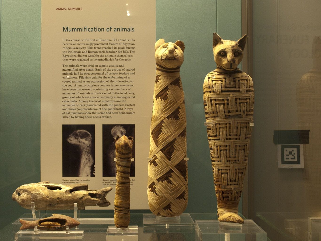 Mummy British Museum | London pictures, Travel memories, British museum Mummy British Museum | London pictures, Travel memories, British museum