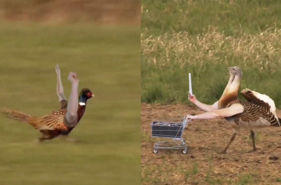 Birds with Arms
