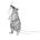 Field Rat's avatar