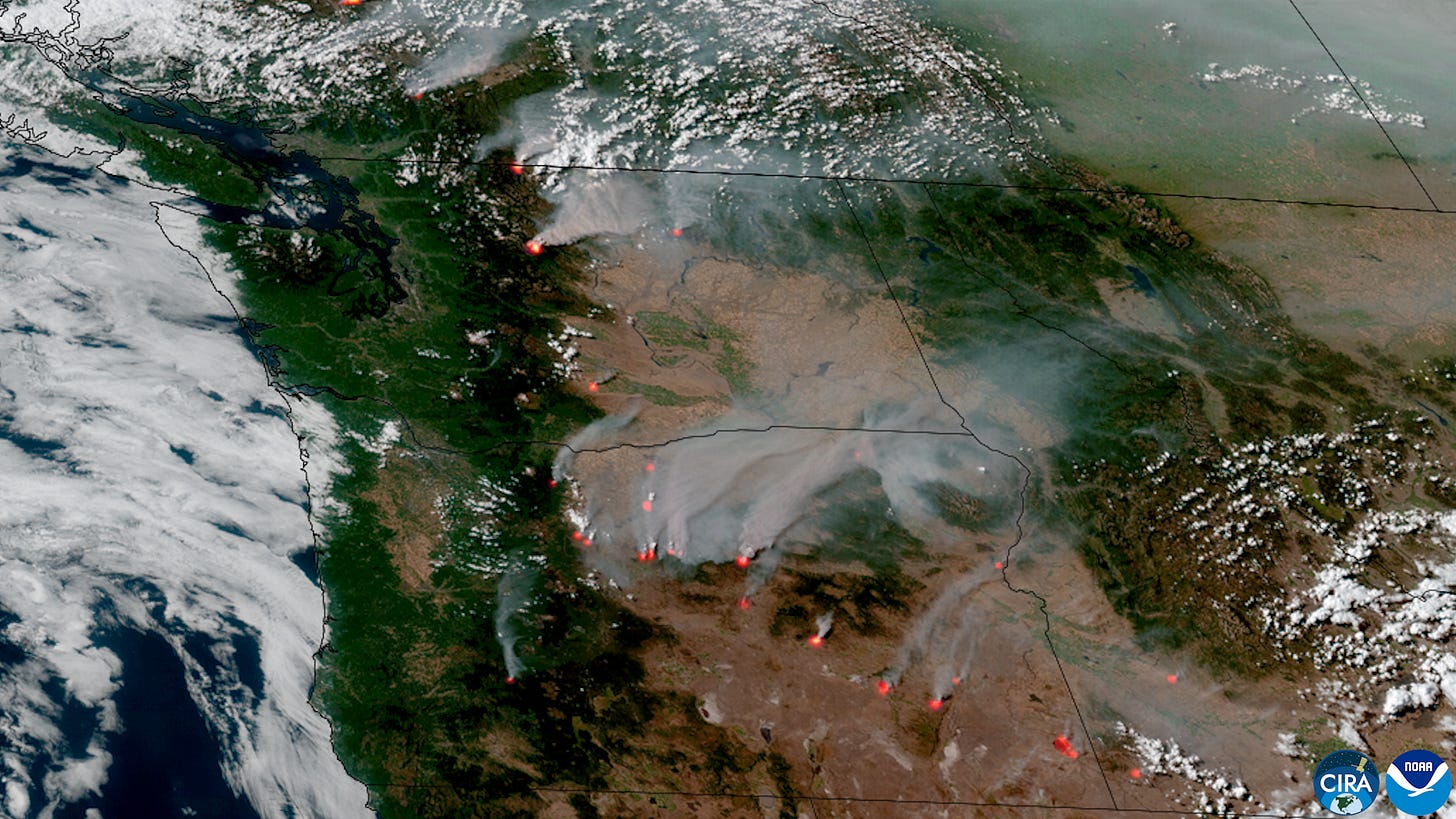 Satellite view of active wildfires in the Pacific North West up to British Columbia, 24th July 2026.