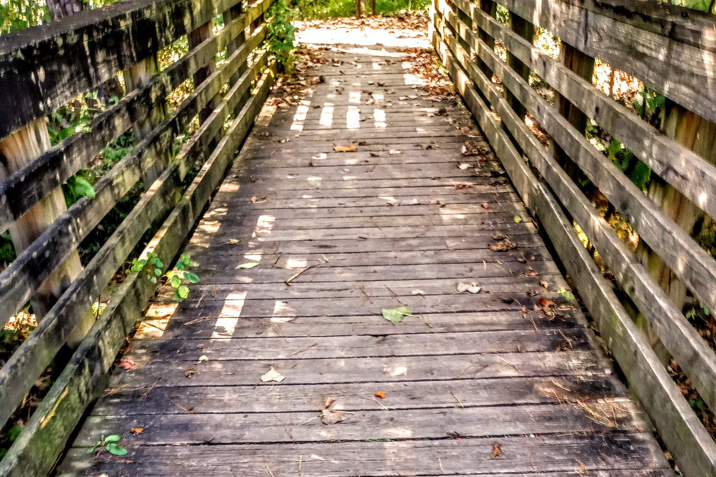 A walker's bridge in an autumnal forest.