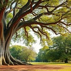 Building Product Ops 0-1: Month 7 of 12