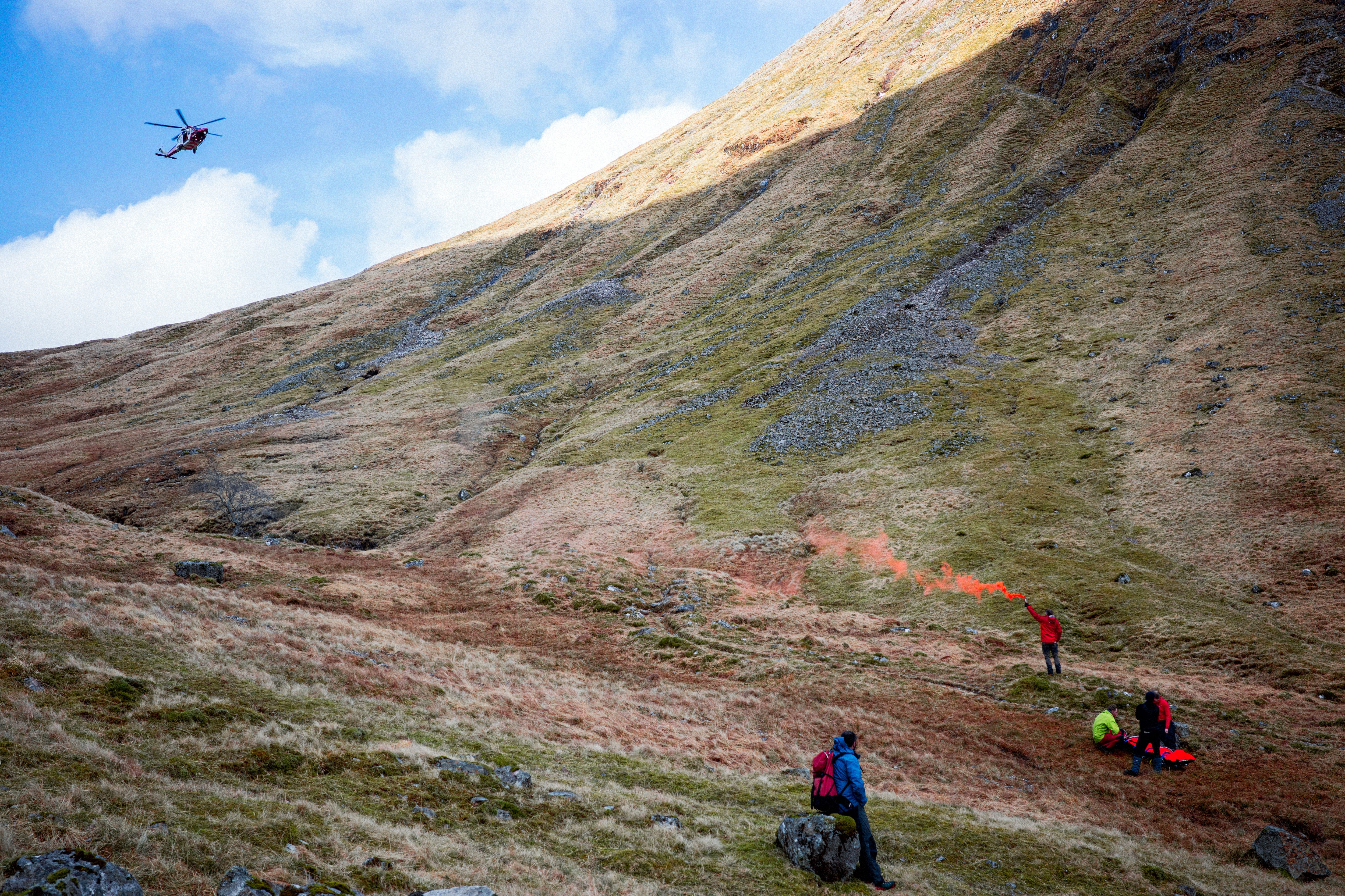 Ruwe/spastische golden doodle? : r/Goldendoodles, image size:5000x3333