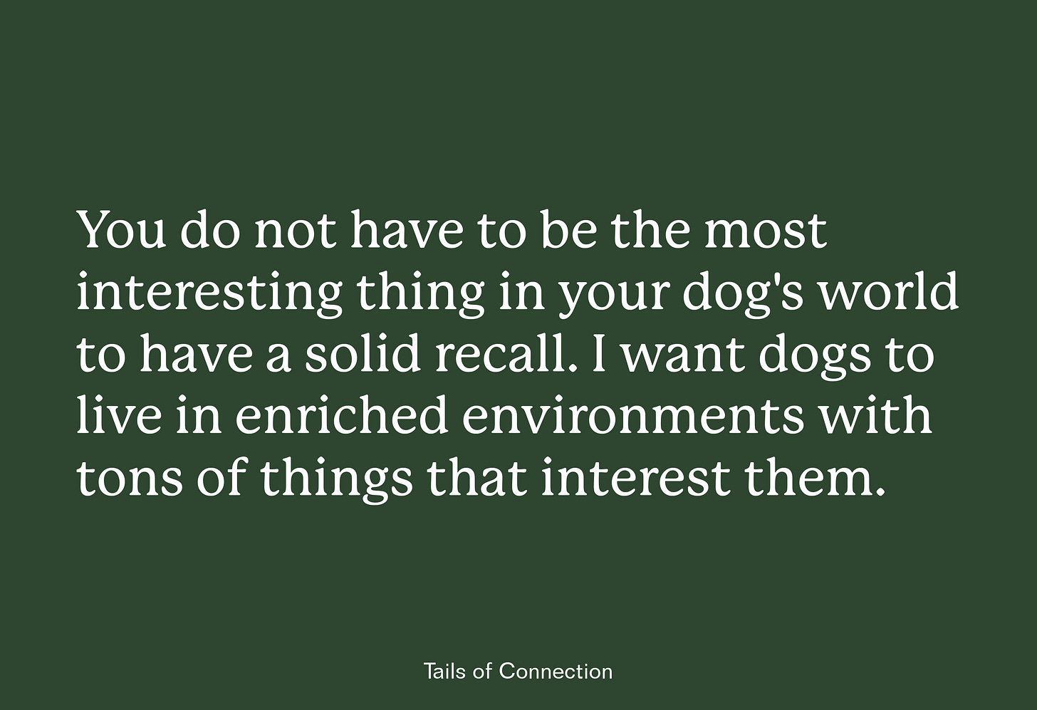 You do not have to be the most interesting thing in your dog's world to have a solid recall. I want dogs to live in enriched environments with tons of things that interest them.