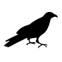 Quoth the Raven's avatar