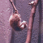 I Didn't Come Here For Art: Tabs, Mon., February 16, 2026