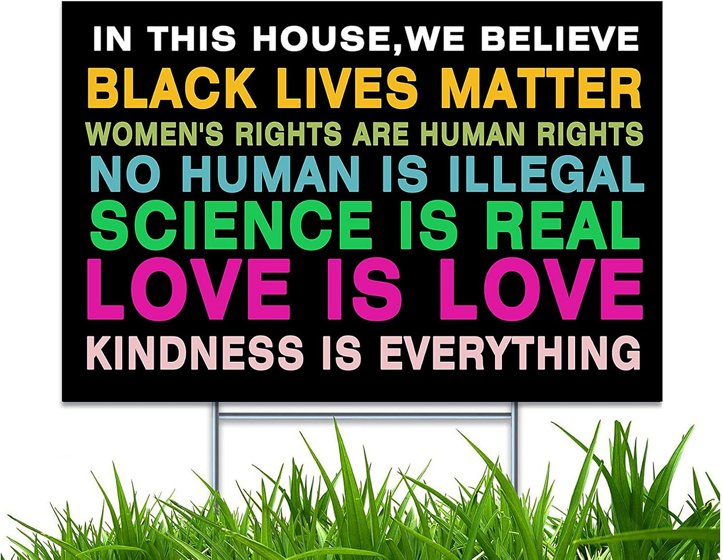 Amazon.com : Yard Sign with H-Frame Stakes In This House We Believe ...