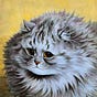 Claudine Notacat's avatar