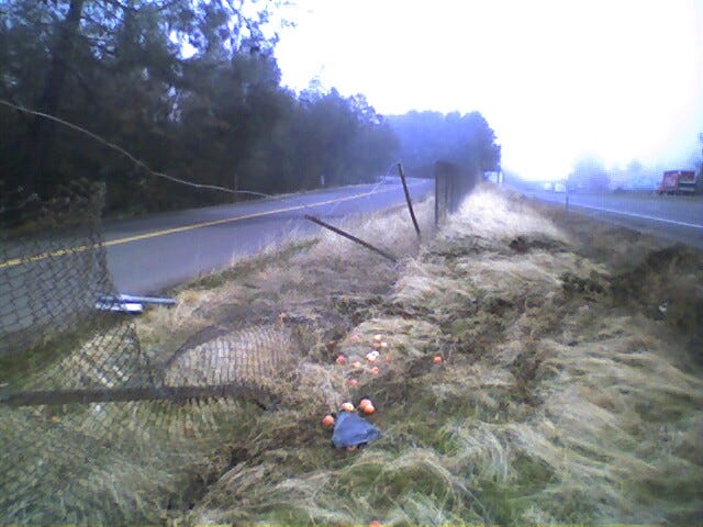 The apples and the fence I plowed through. 