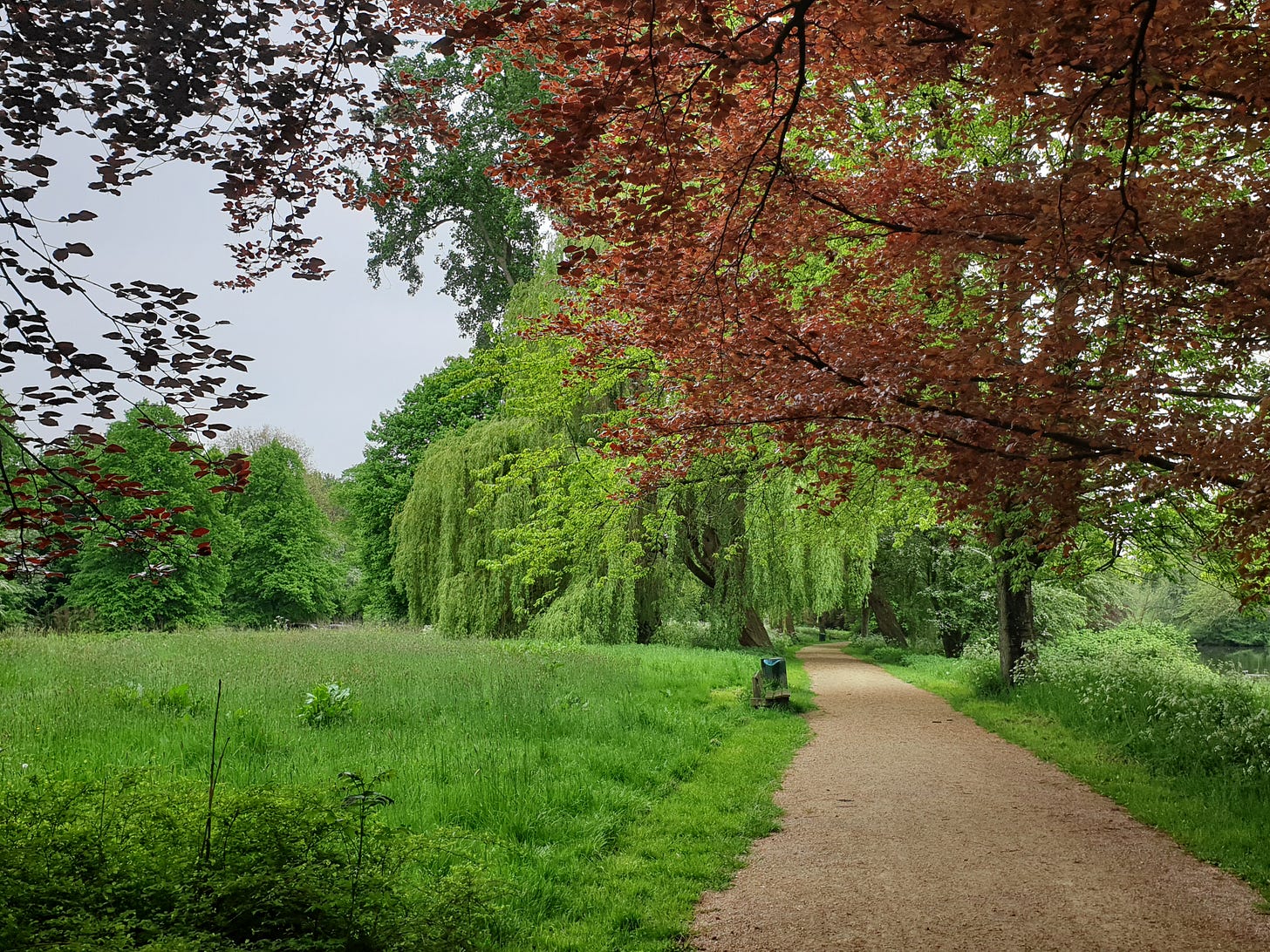 Phototaken by the author during a walk in the park . There is a bench, grey sky and green and red leaves on the trees