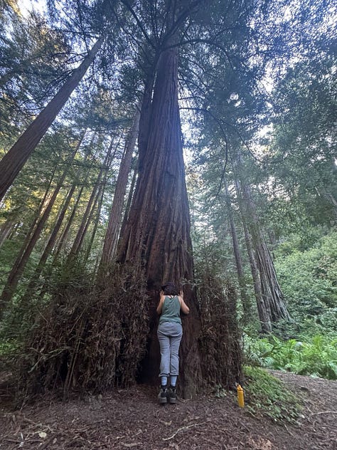 Sarah visits with friends in California