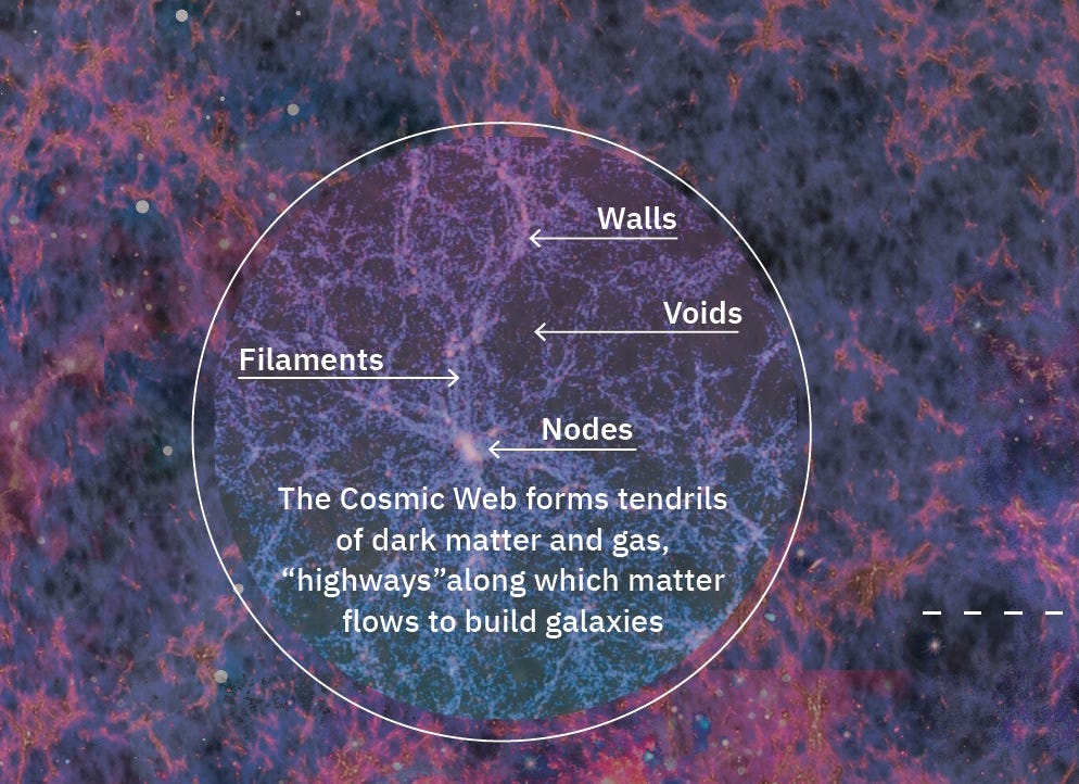 A labeled diagram of the Cosmic Web highlights walls, voids, filaments, and nodes, showing how dark matter and gas form galaxy-building structures. A labeled diagram of the Cosmic Web highlights walls, voids, filaments, and nodes, showing how dark matter and gas form galaxy-building structures.