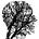 An Octogenarian's Journal