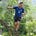 Justin Lim's avatar