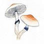 ThatsMyCologist's avatar