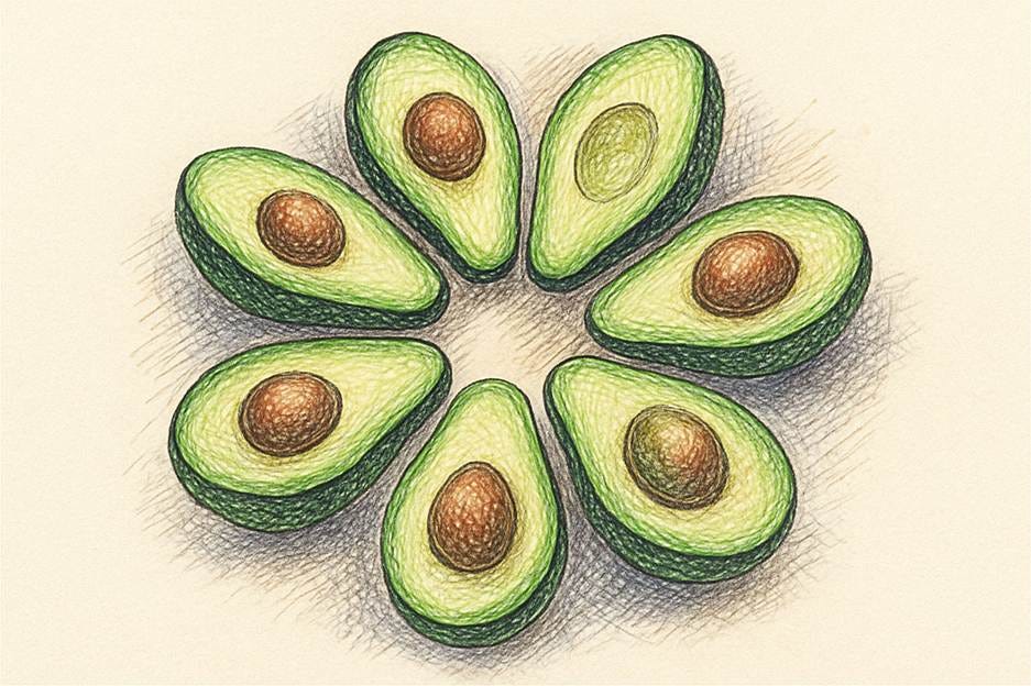 A drawing of avocado cut in half

AI-generated content may be incorrect.