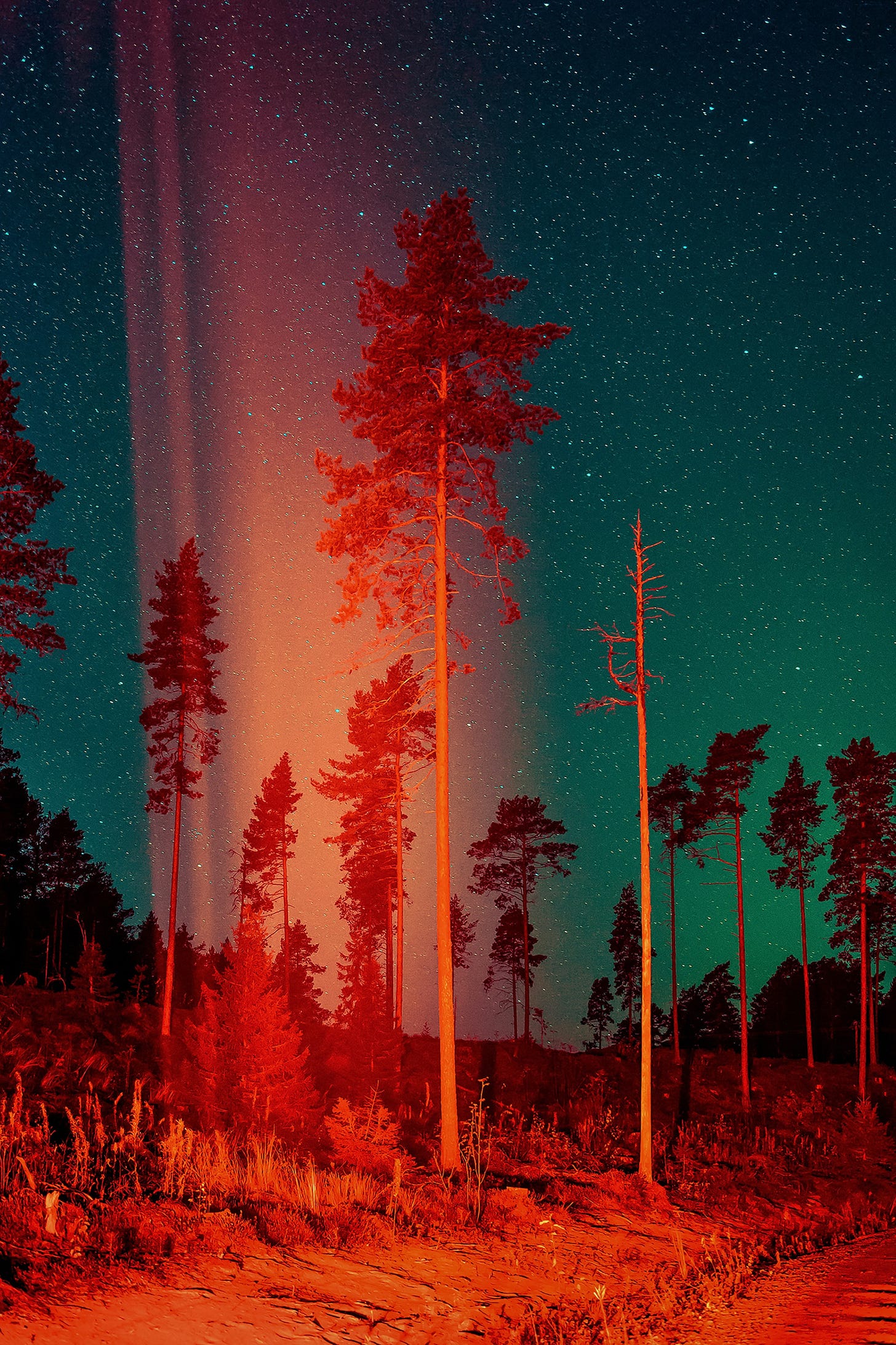 Heavenly Fire #1