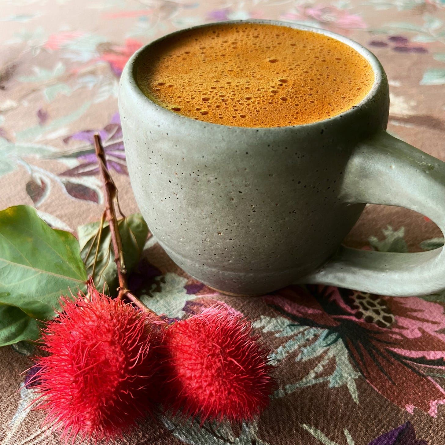 Achiote fruits and mug with reddish color hot chocolate 