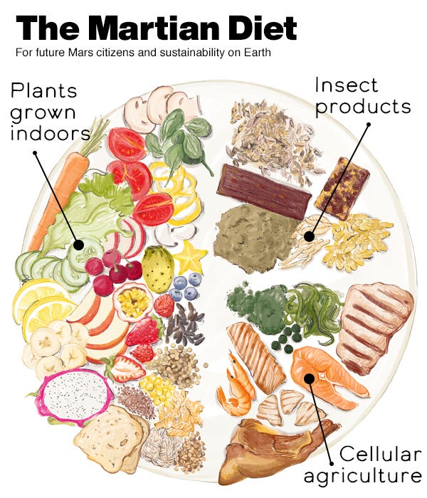 The Martian Diet. Illustration of a plate with various foods The Martian Diet. Illustration of a plate with various foods