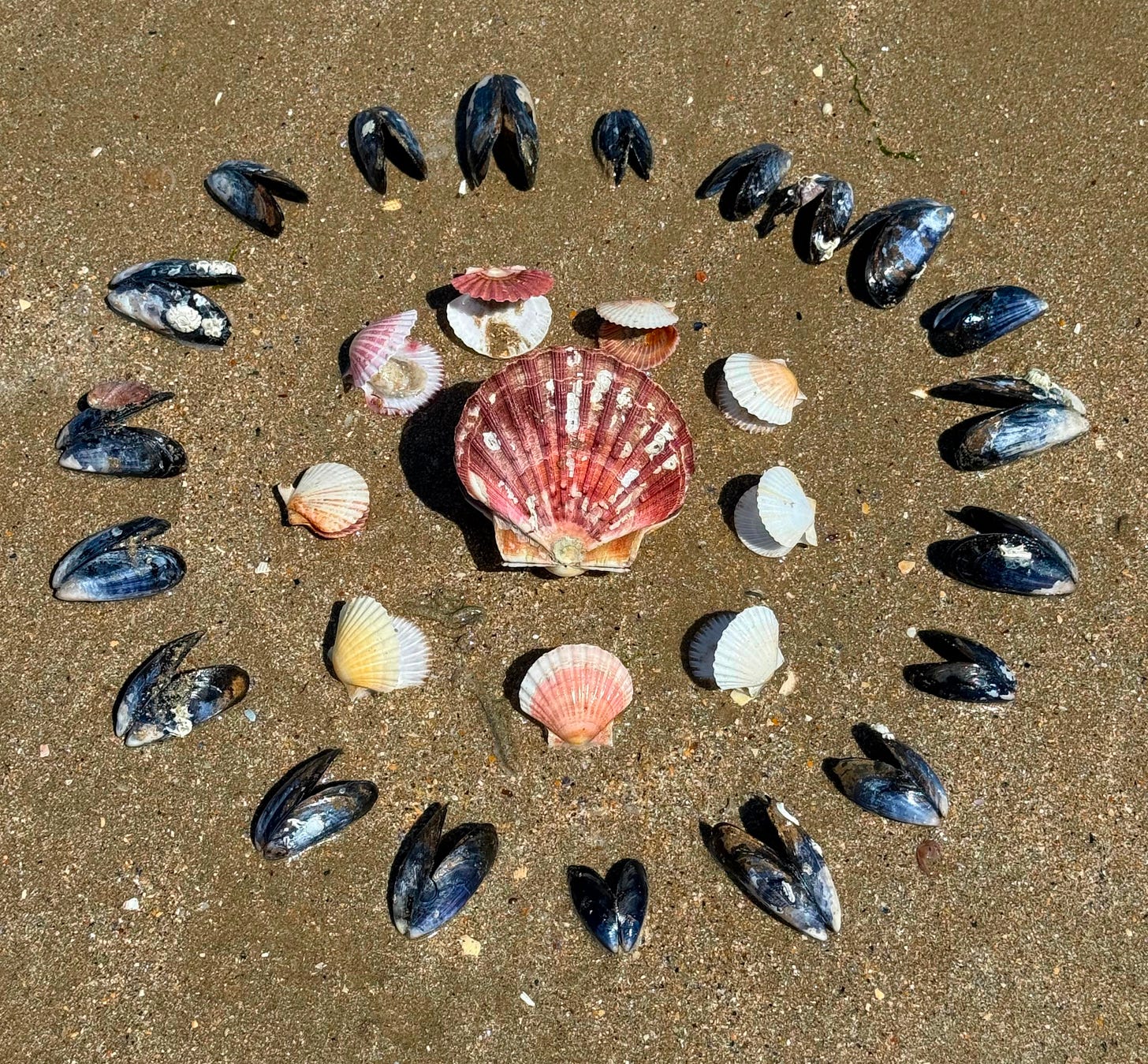 Shell Altar at Omaha Beach